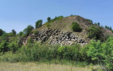Zalahaláp