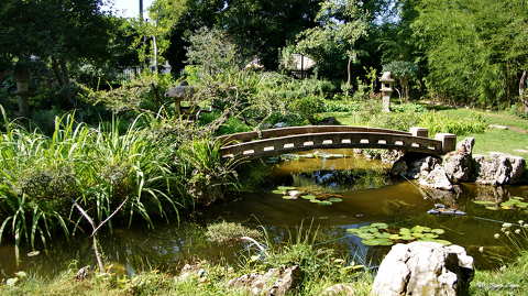 Zuglói japán kert