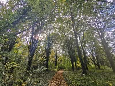 Soroksári Botanikuskert