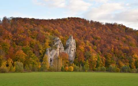 címlapfotó erdő kövek és sziklák ősz