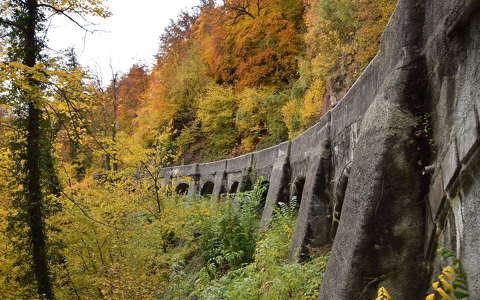 címlapfotó híd ősz