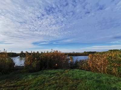 Holt Tisza