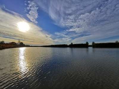Holt Tisza
