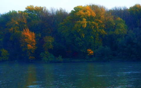 ősz