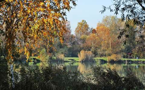 kertek és parkok tó tükröződés ősz