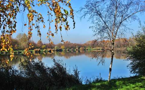 címlapfotó tó tükröződés ősz