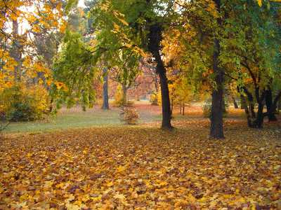 Gödöllő Erzsébet-park
