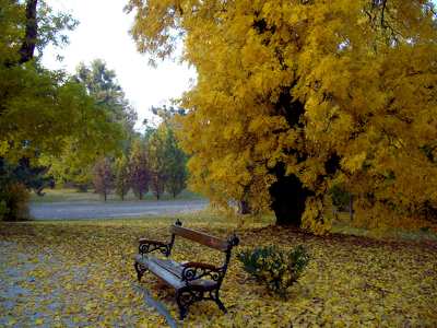 Gödöllő kastélypark