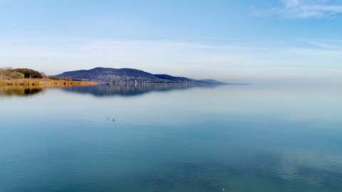 Balaton