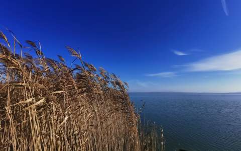 balaton magyarország nád tó