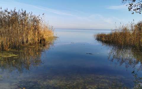 balaton magyarország nád tó