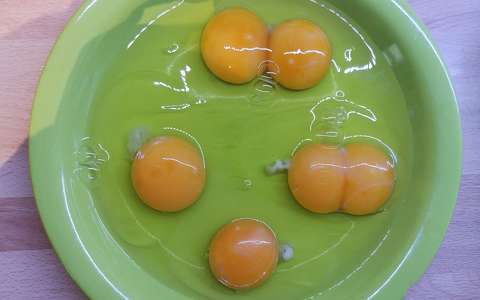 Dupla kétsárgájú tojások