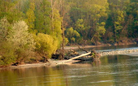 Dunai mentén