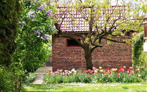 címlapfotó ház kertek és parkok tavasz