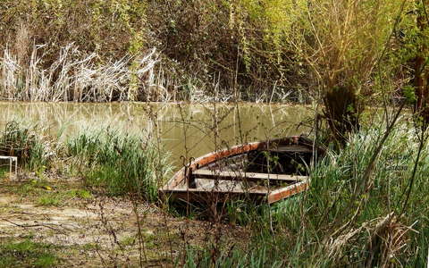 Vadkikötő - Balatonfűzfő