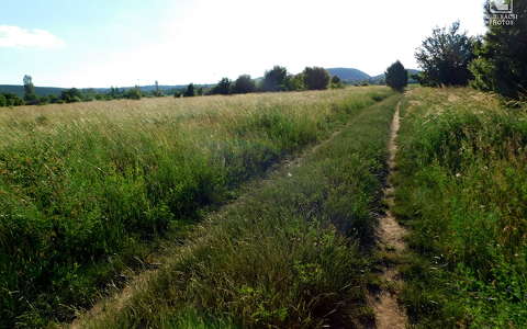 kocsiút