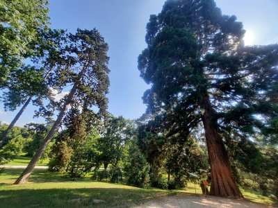 Gödöllői Királyi Kastély parkja