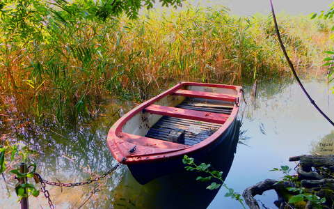 Balatonfűzfő