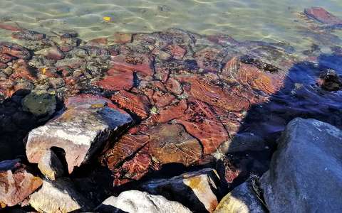 balaton tó