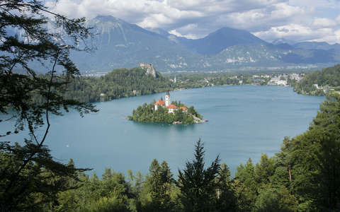 Bled