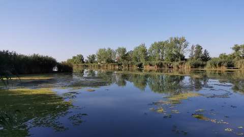 Tószeg