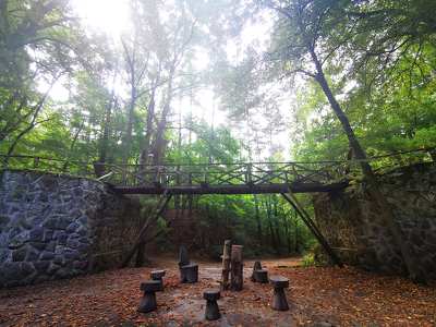 Gödöllői Arborétum