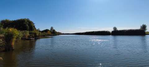 Holt Tisza