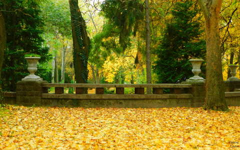 Doktorkert, Balatonfűzfő