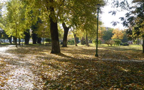 kertek és parkok út ősz