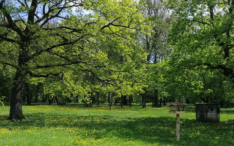 Csehország, Veselí nad Moravou, park tavasszal
