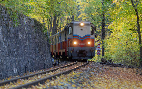 címlapfotó sínpár vonat ősz