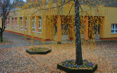 Könyvtár, Balatonfűzfő