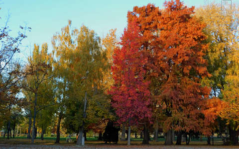 Balatonalmádi, Öregpark