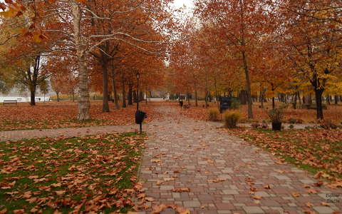 Balatonalmádi, Erzsébet park