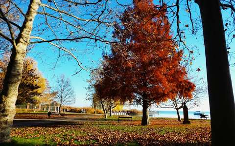 Balatonalmádi ősz, Balaton, tó