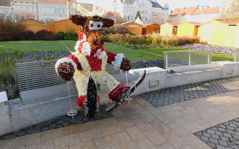 Karácsonyi dekoráció, Szombathely