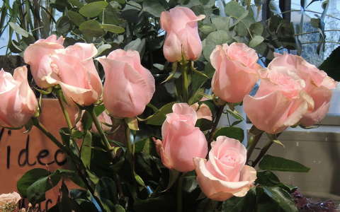 Berni rózsák