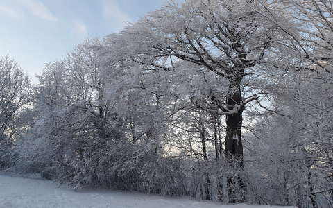 Dobogókő, 2021. december 12.