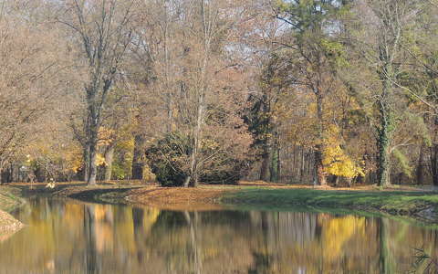 Nádasdladányi kastély parkja