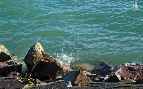 Balaton-part