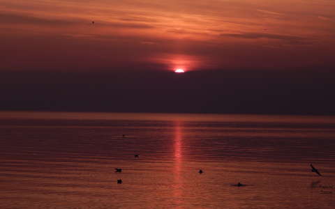 Felkelő Nap Balatonalmádi