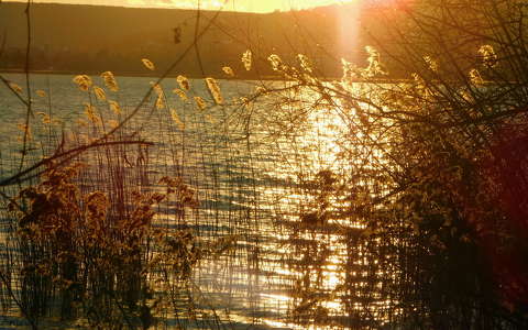 Aranyló naplemente, Balatonfűzfő