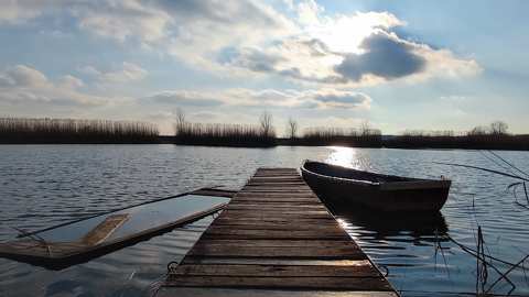 Holt Tisza