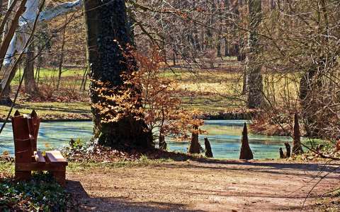 Alcsúti arborétum