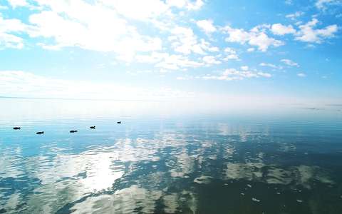 címlapfotó felhő kacsa tó