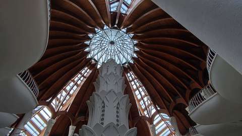 Makó Hagymatikum