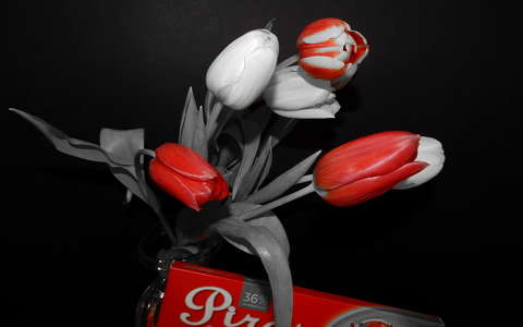 Tulipánvariáció