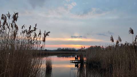 Alkony a Holt Tiszánál
