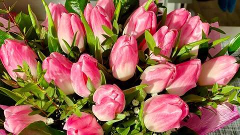 címlapfotó névnap és születésnap tavaszi virág tulipán