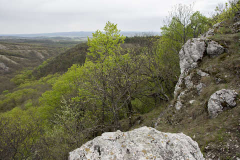 Vértes